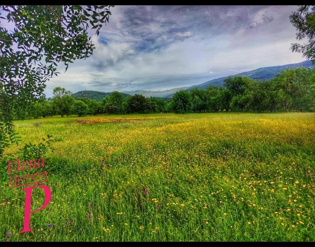 El Rincon De Los Lanchares Сотийо де ла Адрада Екстериор снимка
